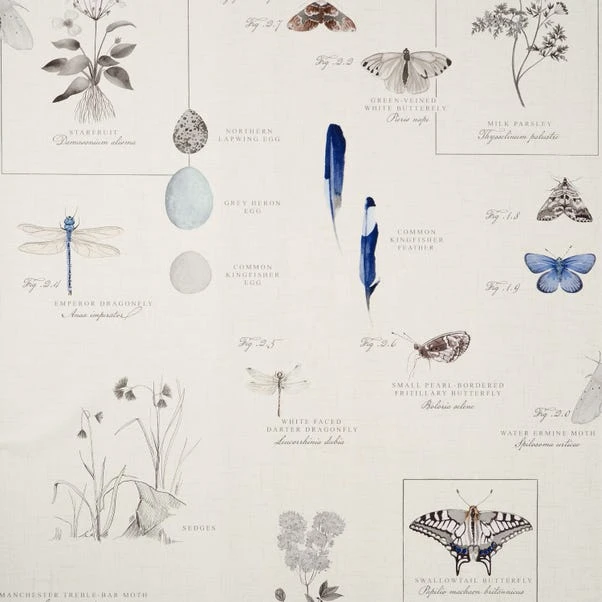 Natural History Museum Nature’s Study White Wallpaper - Image 2