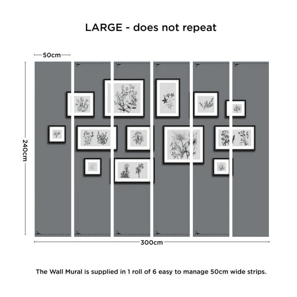 Dunelm Botanical Gallery Wall Grey Mural - Image 3