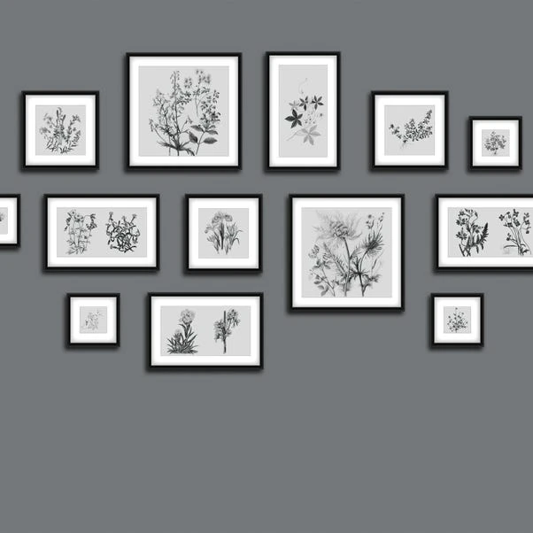 Dunelm Botanical Gallery Wall Grey Mural - Image 4