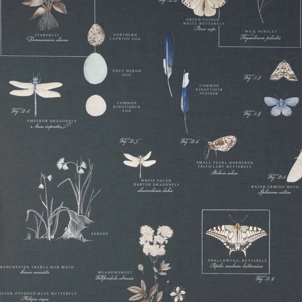 Natural History Museum Nature's Journal Navy Wallpaper 4 Natural History Museum Nature's Journal Navy Wallpaper - Image 2