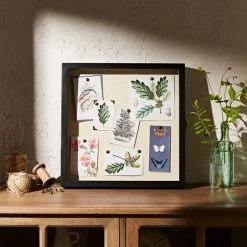 Natural History Museum Wooden Shadow Bow Frame