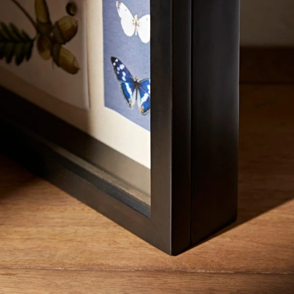 Natural History Museum Wooden Shadow Bow Frame - Image 2