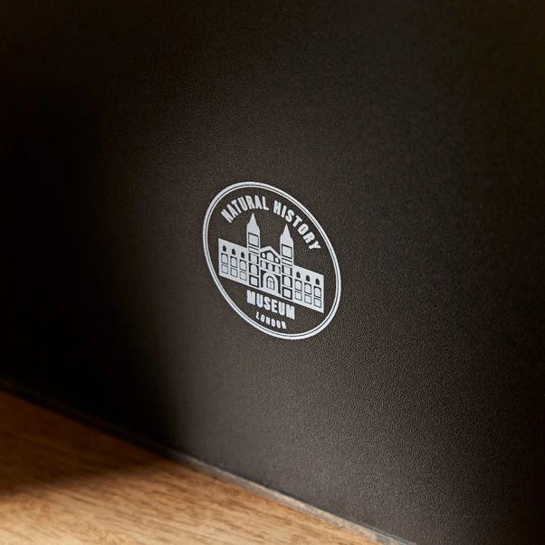 Natural History Museum Wooden Shadow Bow Frame - Image 3