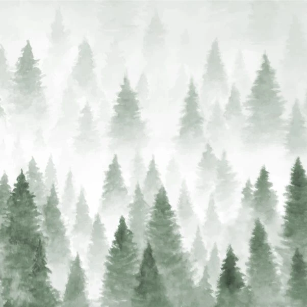 Dunelm Pine Forest Mural - Image 5