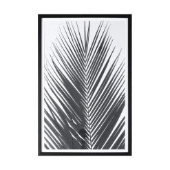 Cedar & Sage Greyscale Palm Framed Art 61 X 91cm