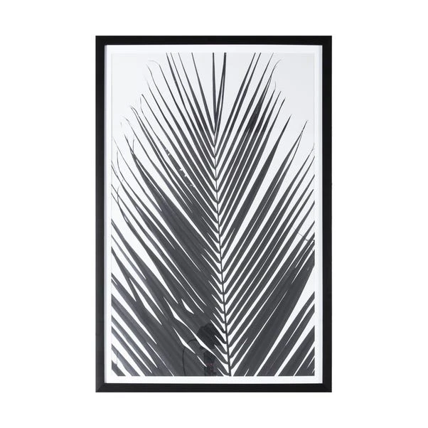 Cedar & Sage Greyscale Palm Framed Art 61 X 91cm