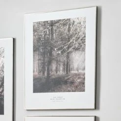 Pacific Lifestyle Mono Forest Trail Canvas Print