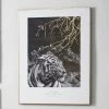 Pacific Lifestyle Mono Tiger Canvas Print 1 Pacific Lifestyle Mono Tiger Canvas Print -Dunelm Shop 30803452
