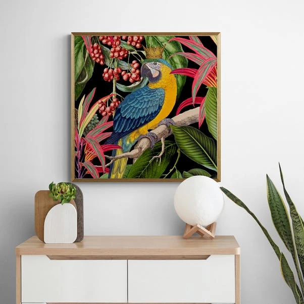Dunelm Parrot King I Framed Print