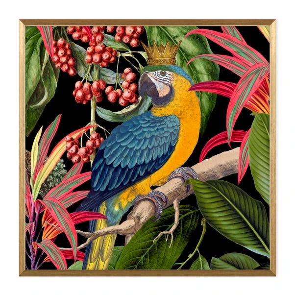 Dunelm Parrot King I Framed Print - Image 2