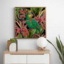 Dunelm Parrot King II Framed Print