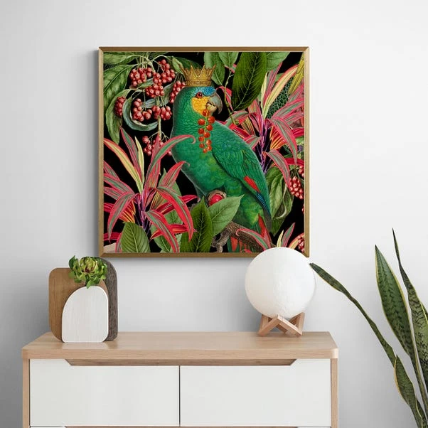 Dunelm Parrot King II Framed Print