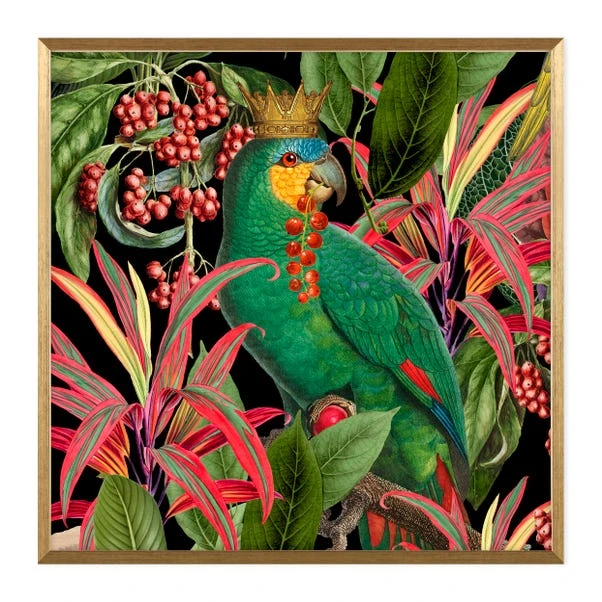 Dunelm Parrot King II Framed Print - Image 2