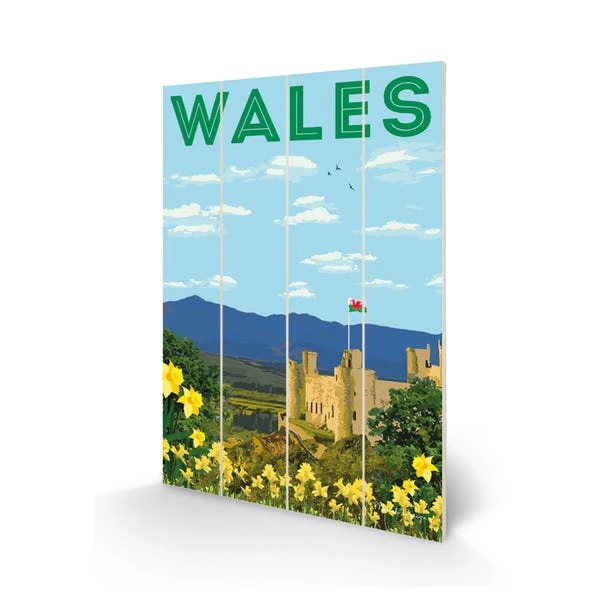The Art Group Wales Wooden Wall Art - Image 2