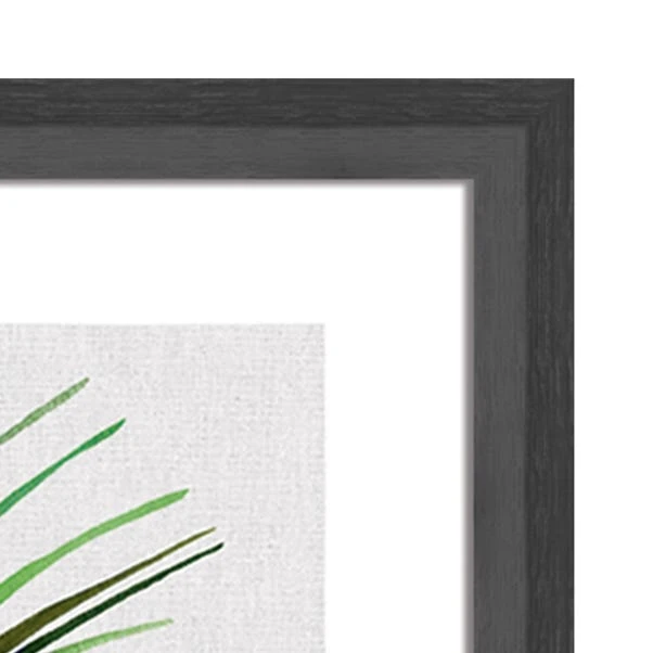 The Art Group Areca Palm Plant Framed Print 5 The Art Group Areca Palm Plant Framed Print - Image 3