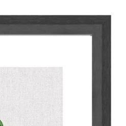 The Art Group Chinese Money Plant Framed Print -Dunelm Shop 30808947 alt02