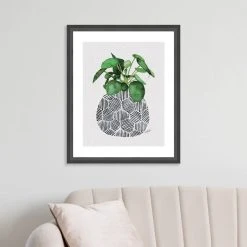 The Art Group Chinese Money Plant Framed Print -Dunelm Shop 30808947 alt03