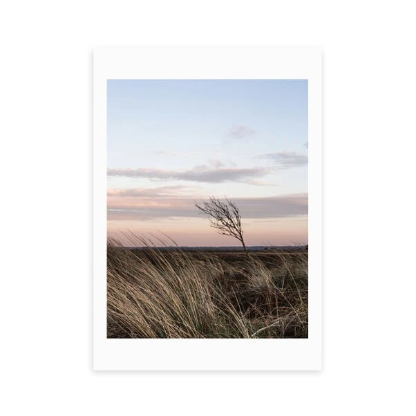 East End Prints At The Coast IV Print 4 East End Prints At The Coast IV Print - Image 2