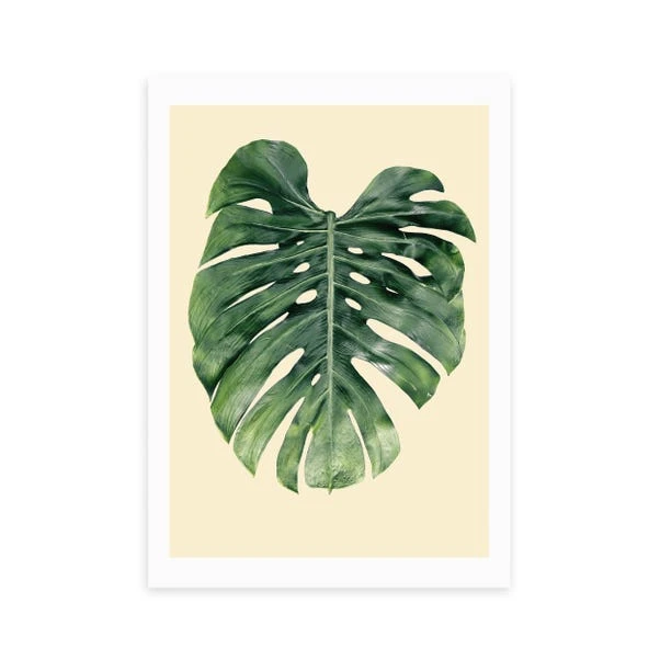 East End Prints Monstera Leaf Print 4 East End Prints Monstera Leaf Print - Image 2