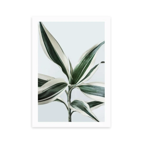 East End Prints Foliage 1 Print 4 East End Prints Foliage 1 Print - Image 2