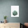 East End Prints Succulent Set 2 Print -Dunelm Shop 30841834