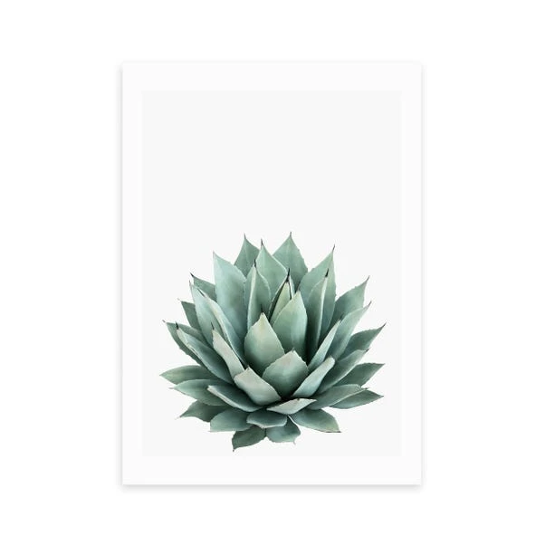 East End Prints Succulent Set 2 Print - Image 2