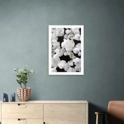 East End Prints White Beauty On Black Print