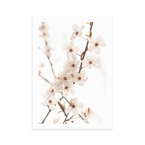 East End Prints Blossom 2 Print - Image 2