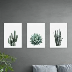 Set Of 3 East End Prints Succulent Gallery Wall Prints
